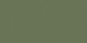 Ceramogranite RW06 60x120 cm, green, 1,1 cm, 2 pcs